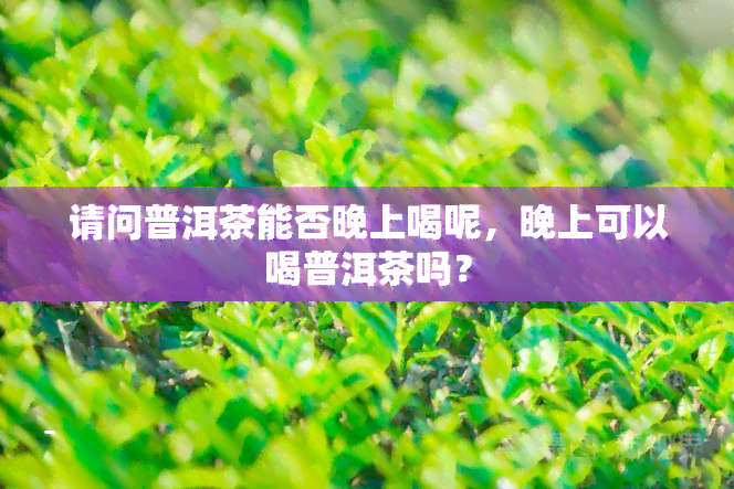 请问普洱茶能否晚上喝呢，晚上可以喝普洱茶吗？