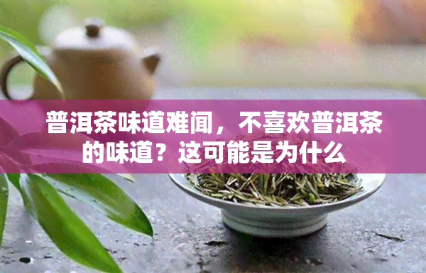 普洱茶味道难闻，不喜欢普洱茶的味道？这可能是为什么