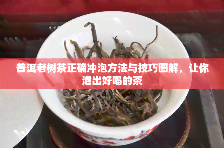 普洱老树茶正确冲泡方法与技巧图解，让你泡出好喝的茶