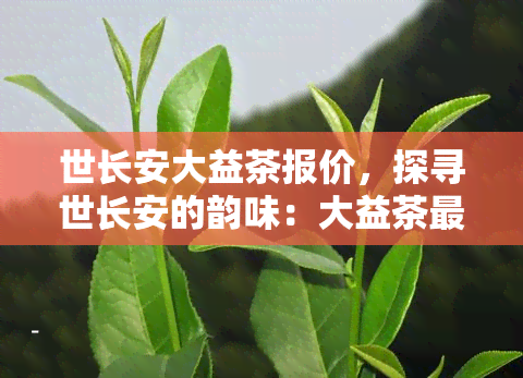 世长安大益茶报价，探寻世长安的韵味：大益茶最新报价一览