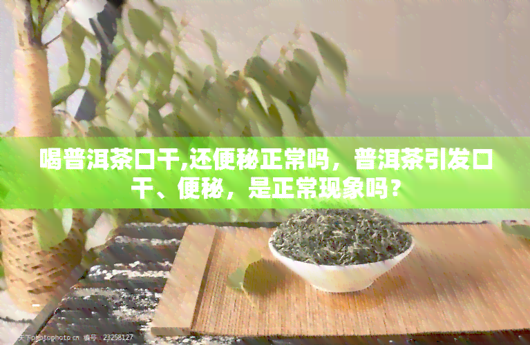 喝普洱茶口干,还便秘正常吗，普洱茶引发口干、便秘，是正常现象吗？