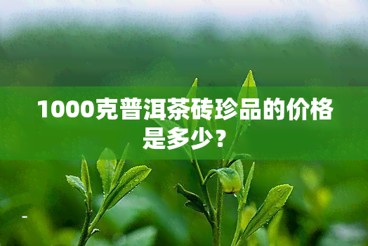 1000克普洱茶砖珍品的价格是多少？