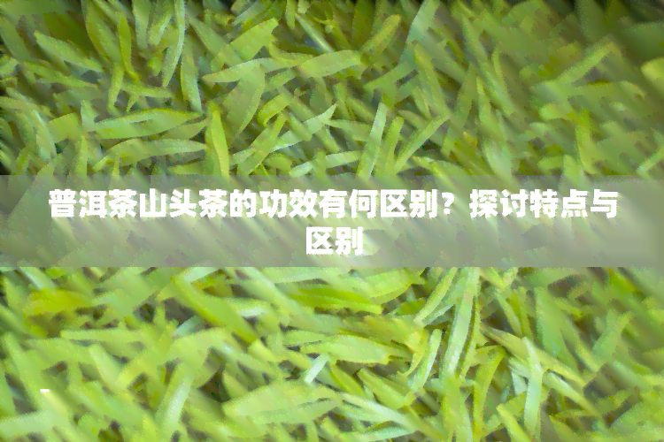 普洱茶山头茶的功效有何区别？探讨特点与区别