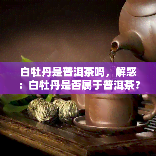 白牡丹是普洱茶吗，解惑：白牡丹是否属于普洱茶？