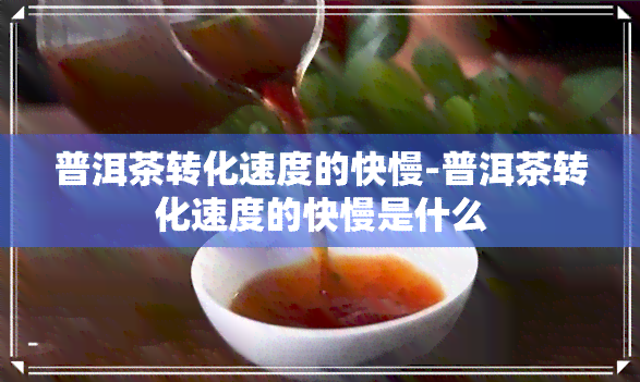 普洱茶转化速度的快慢-普洱茶转化速度的快慢是什么