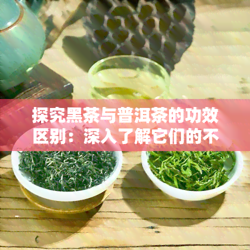 探究黑茶与普洱茶的功效区别：深入了解它们的不同之处