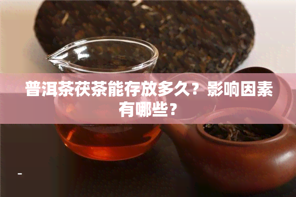 普洱茶茯茶能存放多久？影响因素有哪些？