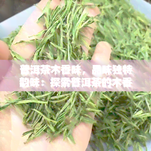 普洱茶木香味，品味独特韵味：探索普洱茶的木香味