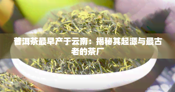 普洱茶最早产于云南：揭秘其起源与最古老的茶厂