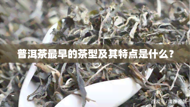 普洱茶最早的茶型及其特点是什么？