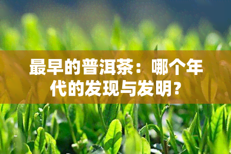 最早的普洱茶：哪个年代的发现与发明？