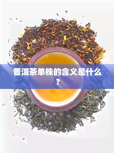 普洱茶单株的含义是什么？