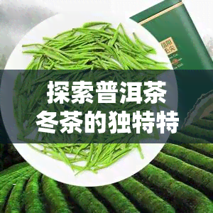 探索普洱茶冬茶的独特特点与功效