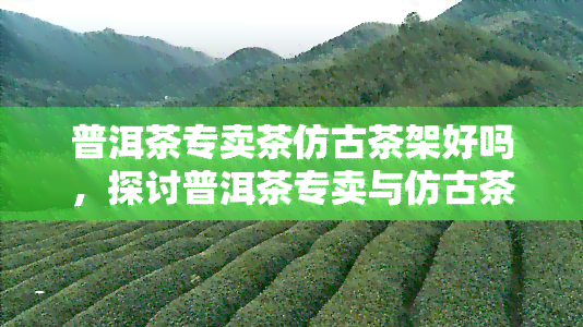 普洱茶专卖茶仿古茶架好吗，探讨普洱茶专卖与仿古茶架的搭配效果：是否适合好？