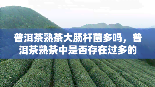 普洱茶熟茶大肠杆菌多吗，普洱茶熟茶中是否存在过多的大肠杆菌？