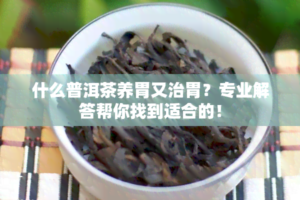 什么普洱茶养胃又治胃？专业解答帮你找到适合的！