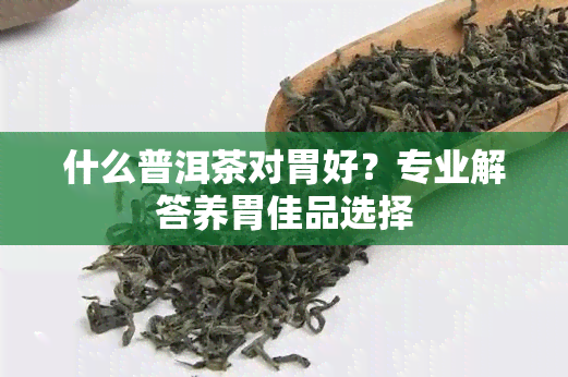 什么普洱茶对胃好？专业解答养胃佳品选择