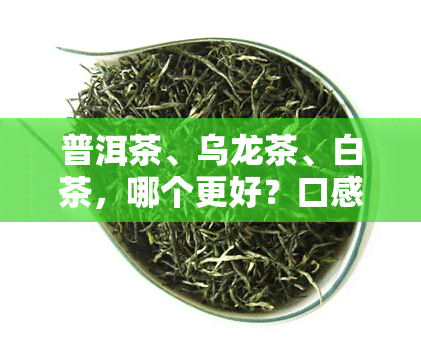 普洱茶、乌龙茶、白茶，哪个更好？口感对比分析