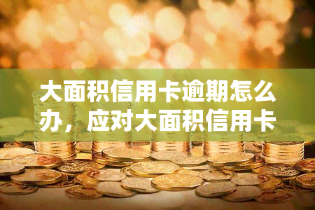 大面积信用卡逾期怎么办，应对大面积信用卡逾期的策略与解决方案