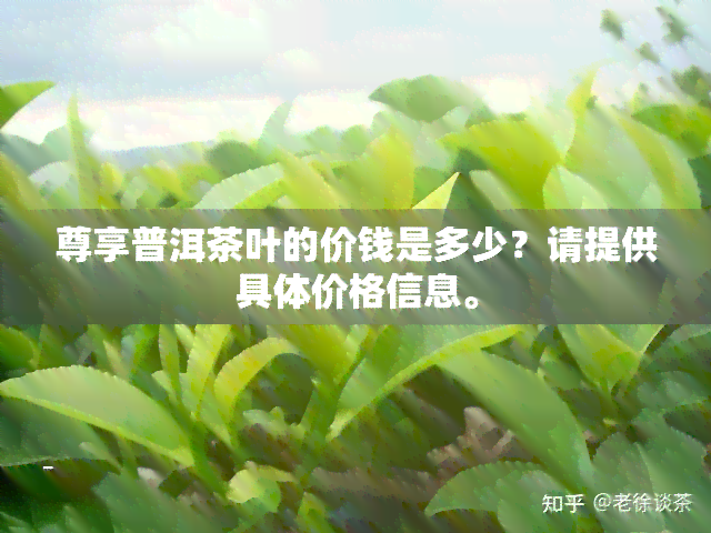 尊享普洱茶叶的价钱是多少？请提供具体价格信息。