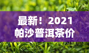 最新！2021帕沙普洱茶价格一览表，全网更低价