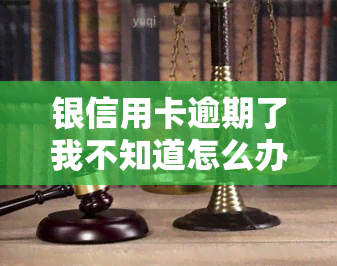 银信用卡逾期了我不知道怎么办，不知道如何处理银信用卡逾期？这份指南或能帮到你！