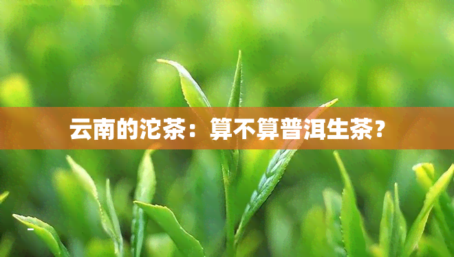 云南的沱茶：算不算普洱生茶？