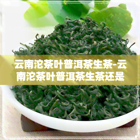 云南沱茶叶普洱茶生茶-云南沱茶叶普洱茶生茶还是熟茶