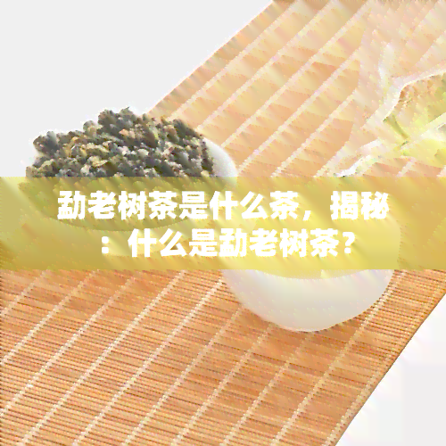 勐老树茶是什么茶，揭秘：什么是勐老树茶？