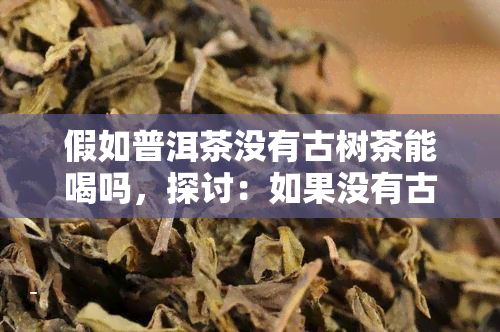 假如普洱茶没有古树茶能喝吗，探讨：如果没有古树茶，普洱茶是否还能入口？