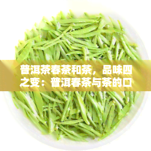 普洱茶春茶和茶，品味四之变：普洱春茶与茶的口感对比