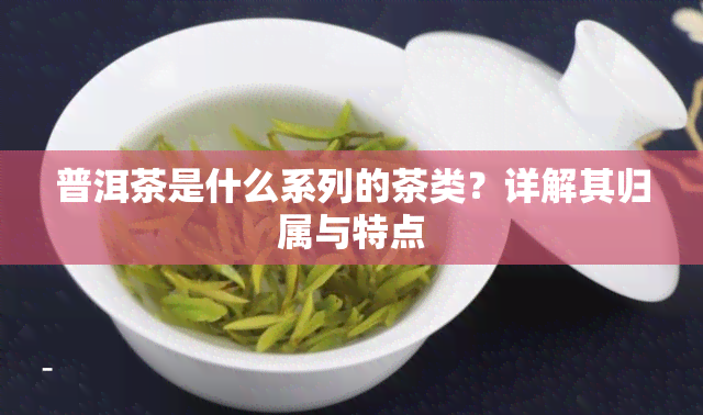 普洱茶是什么系列的茶类？详解其归属与特点