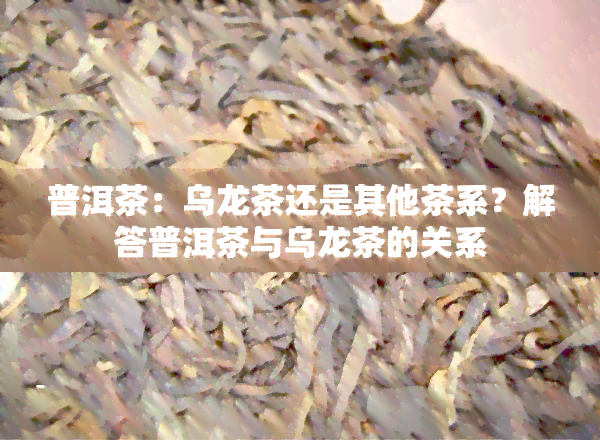 普洱茶：乌龙茶还是其他茶系？解答普洱茶与乌龙茶的关系