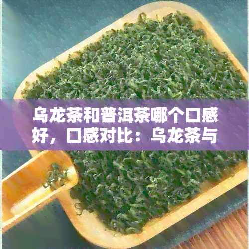 乌龙茶和普洱茶哪个口感好，口感对比：乌龙茶与普洱茶，你更喜欢哪一个？