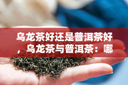 乌龙茶好还是普洱茶好，乌龙茶与普洱茶：哪种更好？