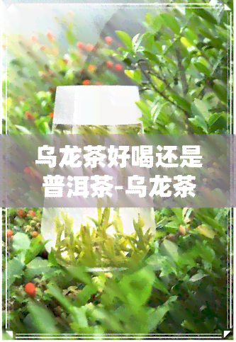 乌龙茶好喝还是普洱茶-乌龙茶好喝还是普洱茶好喝