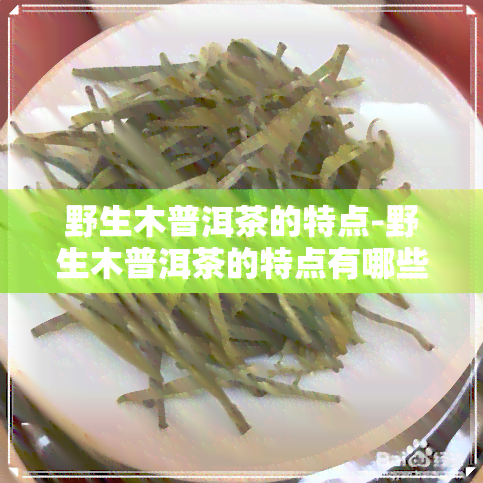 野生木普洱茶的特点-野生木普洱茶的特点有哪些