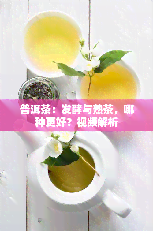 普洱茶：发酵与熟茶，哪种更好？视频解析