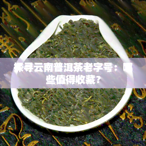 探寻云南普洱茶老字号：哪些值得收藏？