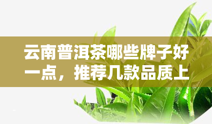 云南普洱茶哪些牌子好一点，推荐几款品质上乘的云南普洱茶