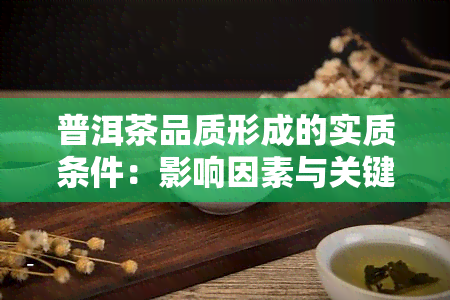 普洱茶品质形成的实质条件：影响因素与关键要素解析