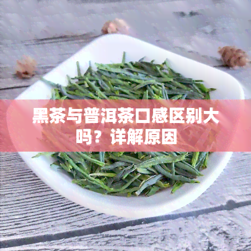 黑茶与普洱茶口感区别大吗？详解原因