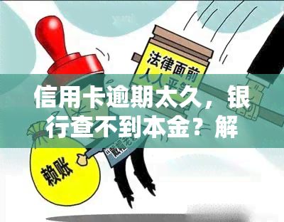 信用卡逾期太久，银行查不到本金？解决方案来了！