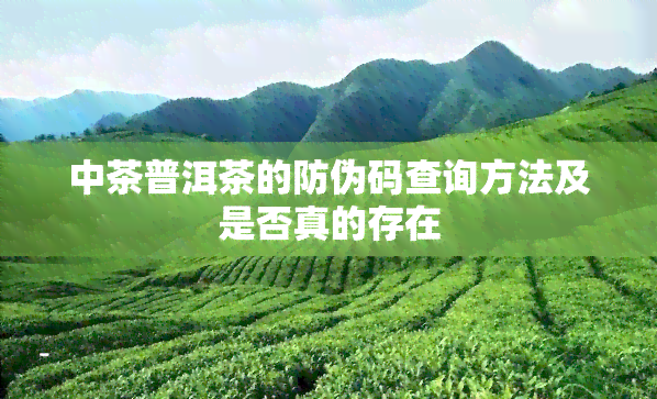 中茶普洱茶的防伪码查询方法及是否真的存在