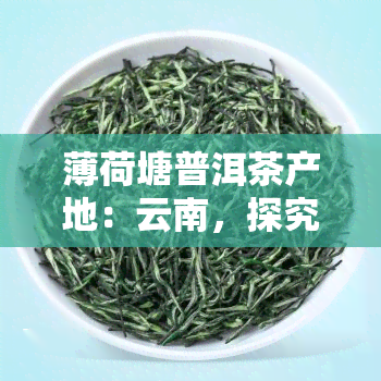 薄荷塘普洱茶产地：云南，探究其制作过程与独特口感