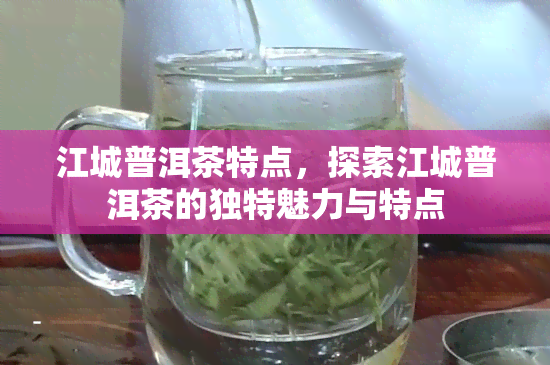 江城普洱茶特点，探索江城普洱茶的独特魅力与特点