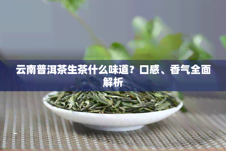 云南普洱茶生茶什么味道？口感、香气全面解析