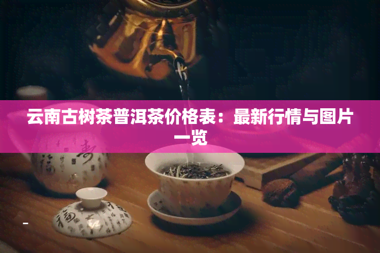 云南古树茶普洱茶价格表：最新行情与图片一览