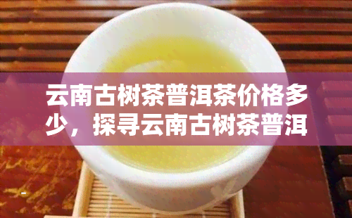 云南古树茶普洱茶价格多少，探寻云南古树茶普洱茶的市场价格，你了解多少？