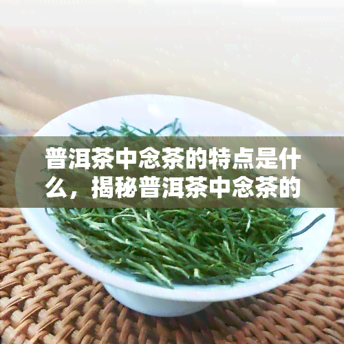 普洱茶中念茶的特点是什么，揭秘普洱茶中念茶的独特特点